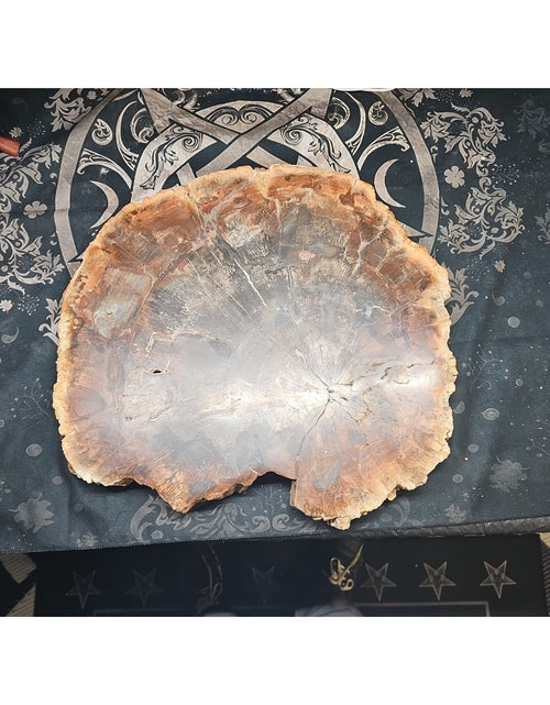 Load image into Gallery viewer, 27.3LB TOP Natural fossil wood Quartz carved Crystal mineral Specimen healing
