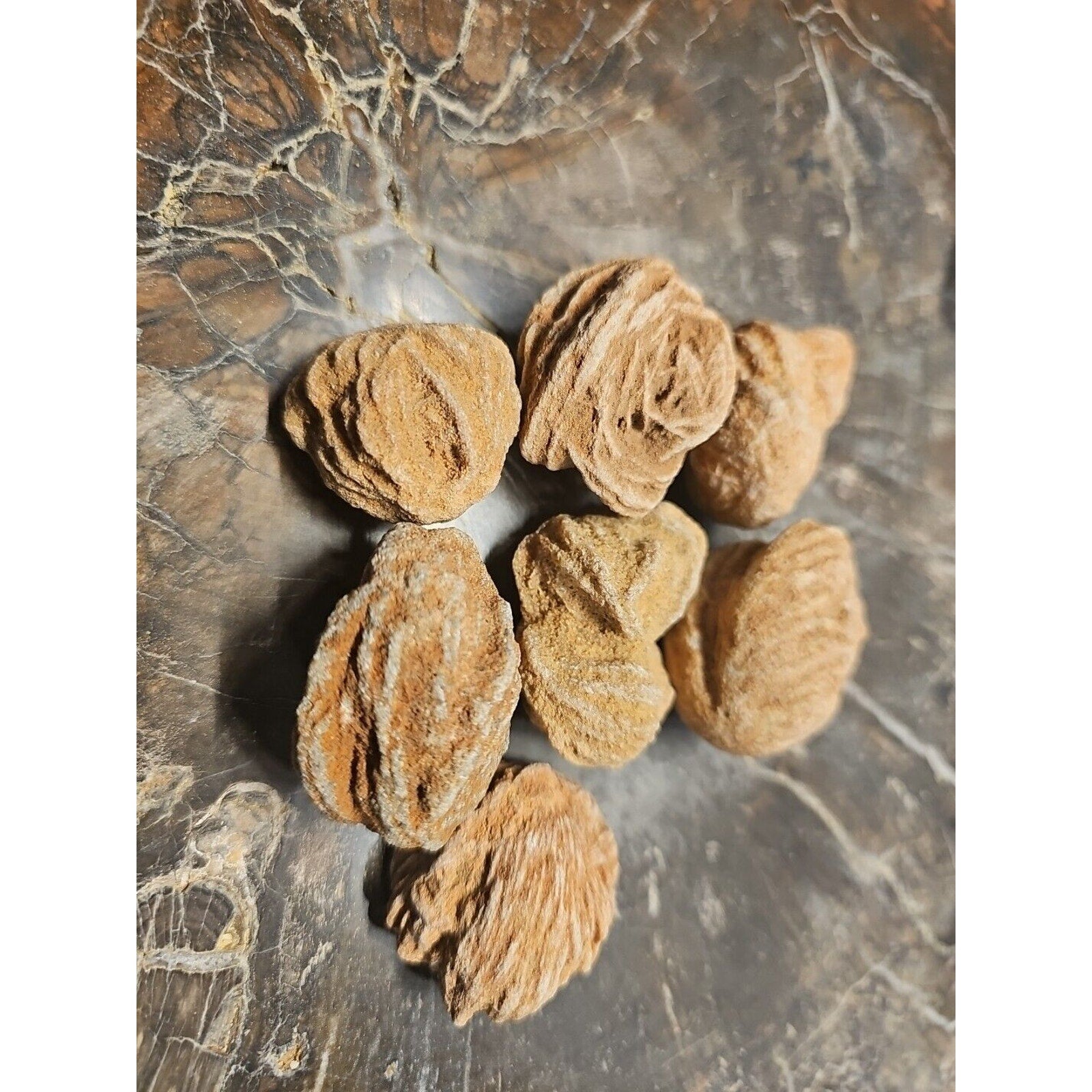 Desert Rose Stones