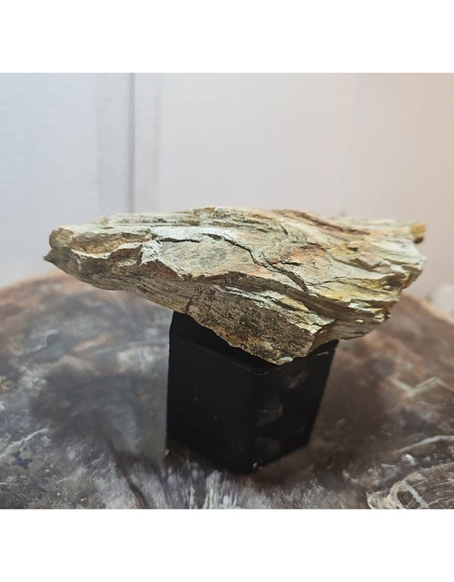 Load image into Gallery viewer, 1.06lbs Texas Petrified Wood Rough
