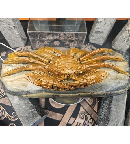 9.44LB Natural Mao Gong shi crab skull hand carved crystal specimen healing
