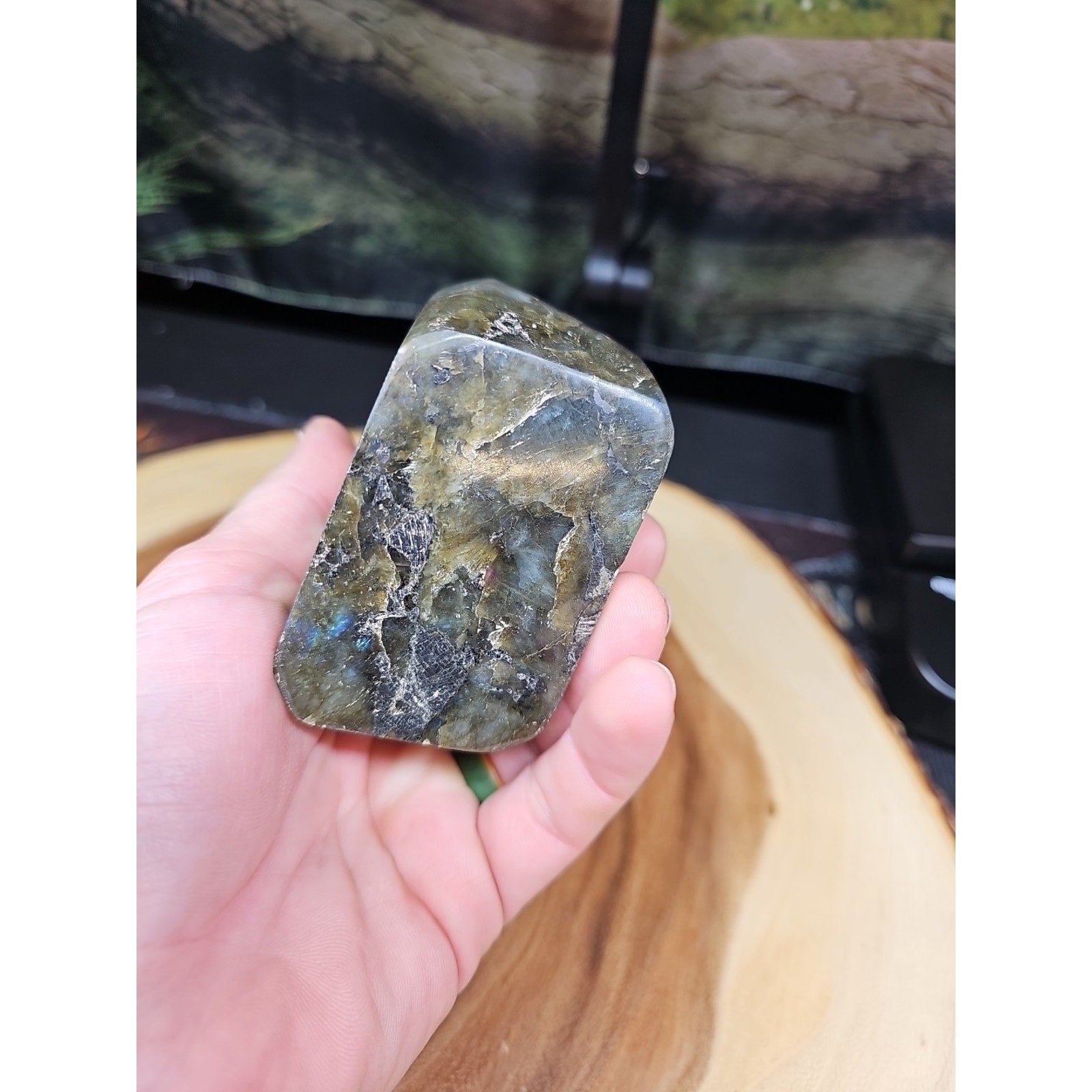 1.48LB 1Pcs Natural Rainbow Labradorite Crystal Spectrolite Stone