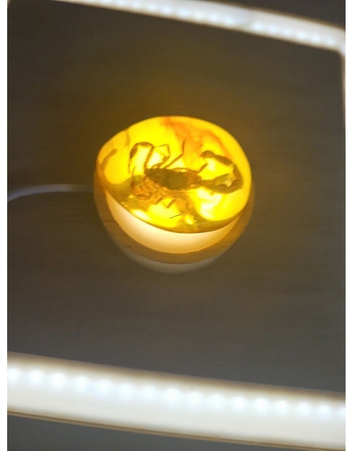 Load image into Gallery viewer, 1 Ea Beautiful Amber Scorpions Fossil Manual Polishing Lucky Ornament
