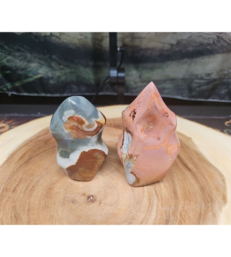 1.40LB 2Pcs Natural Polychrome Ocean Jasper Crystal Flame Point Carved Healing