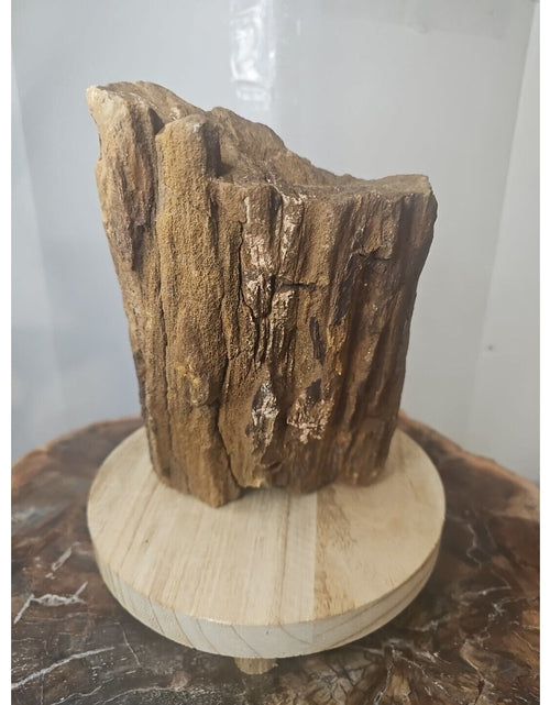 Load image into Gallery viewer, ❤️‍🔥Texas Petrified Wood! Raw Cool Details W/Stand Great Display
