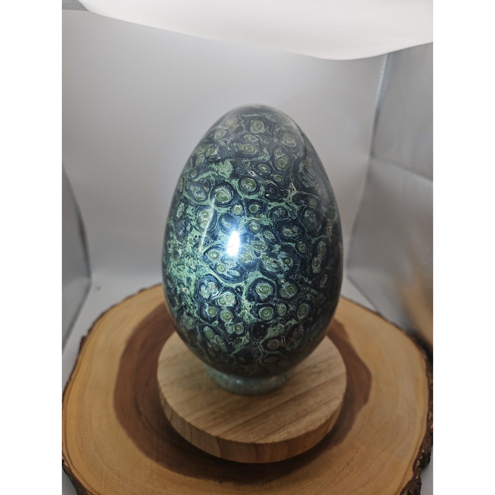 9.1LB Natural Kambaba Jasper Quartz Crystal egg Mineral specimen Healing