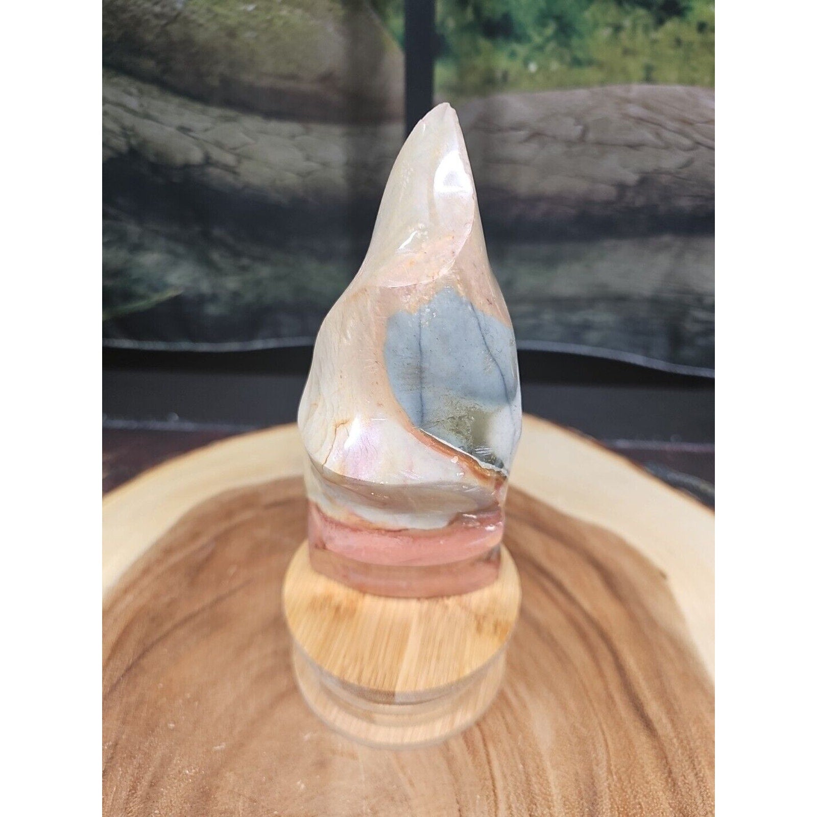 1.20LB 1Pcs Natural Polychrome Ocean Jasper Crystal Flame Point Carved Healing