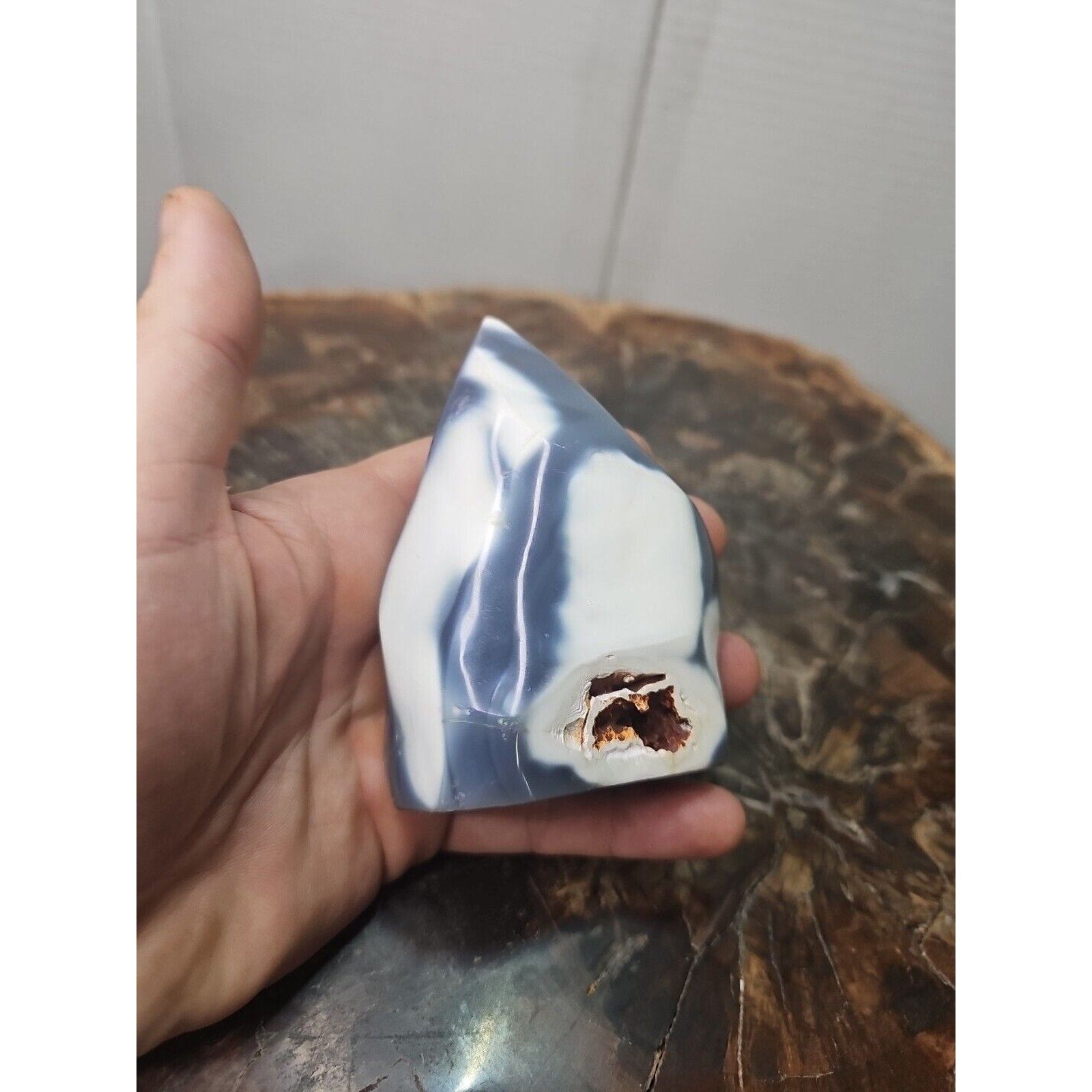 Jasper Ocean Whale Stone 332g