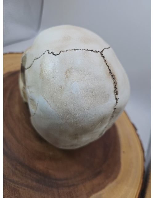 Load image into Gallery viewer, Resin Skull W/Ocean Jasper Quartz Eyes
