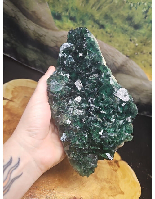 Load image into Gallery viewer, 3.2lb NATURAL Green FLUORITE Quartz Crystal Cluster Mineral Specimen
