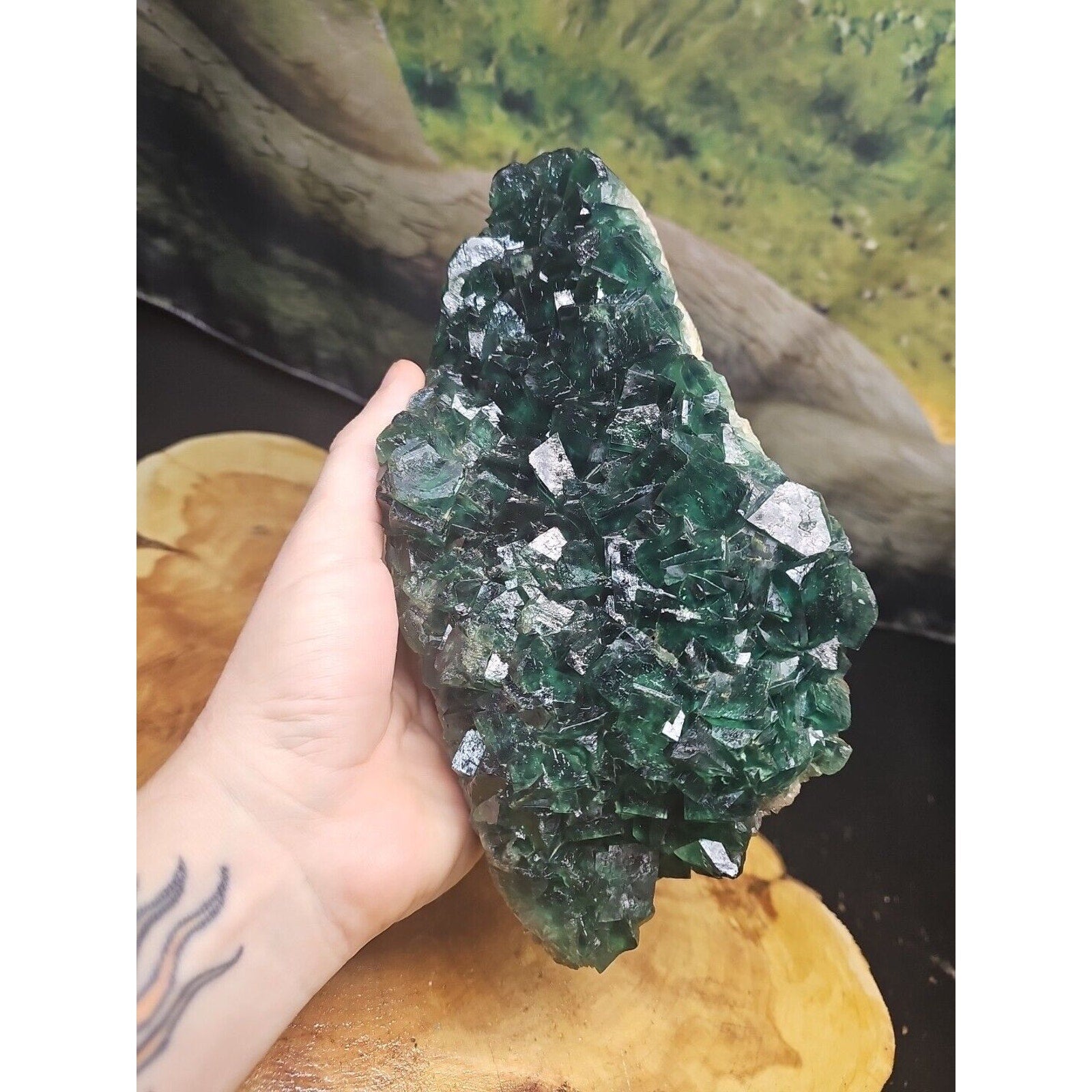 3.2lb NATURAL Green FLUORITE Quartz Crystal Cluster Mineral Specimen