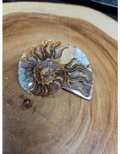Load image into Gallery viewer, Ammonite Fossil Small 52g
