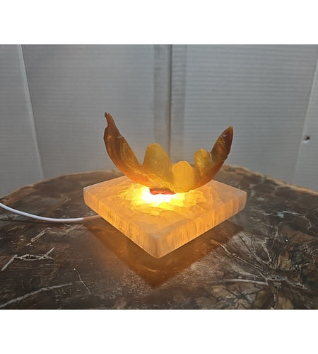 Natural Weathered Gobi Agate Spiral Pattern W/peach Selenite Base&Led Light