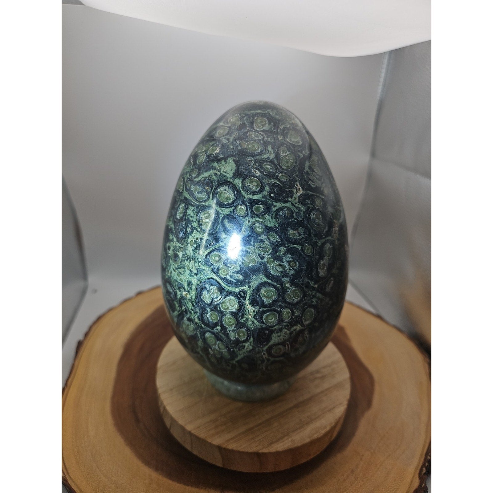 9.1LB Natural Kambaba Jasper Quartz Crystal egg Mineral specimen Healing