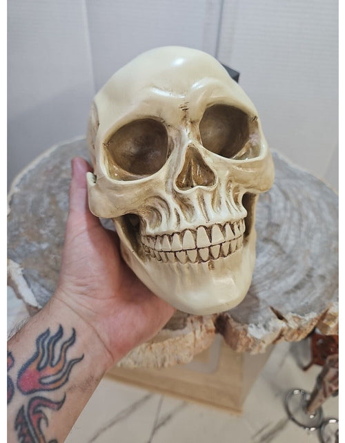 Load image into Gallery viewer, Realistic Human Skull Replica Decor Decoration Resin
