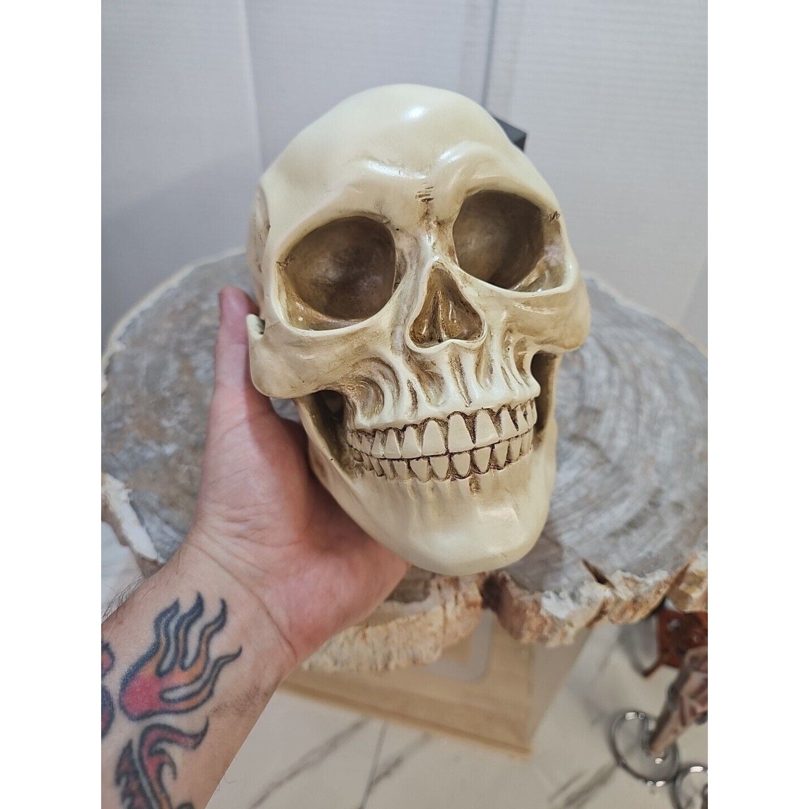 Realistic Human Skull Replica Decor Decoration Resin