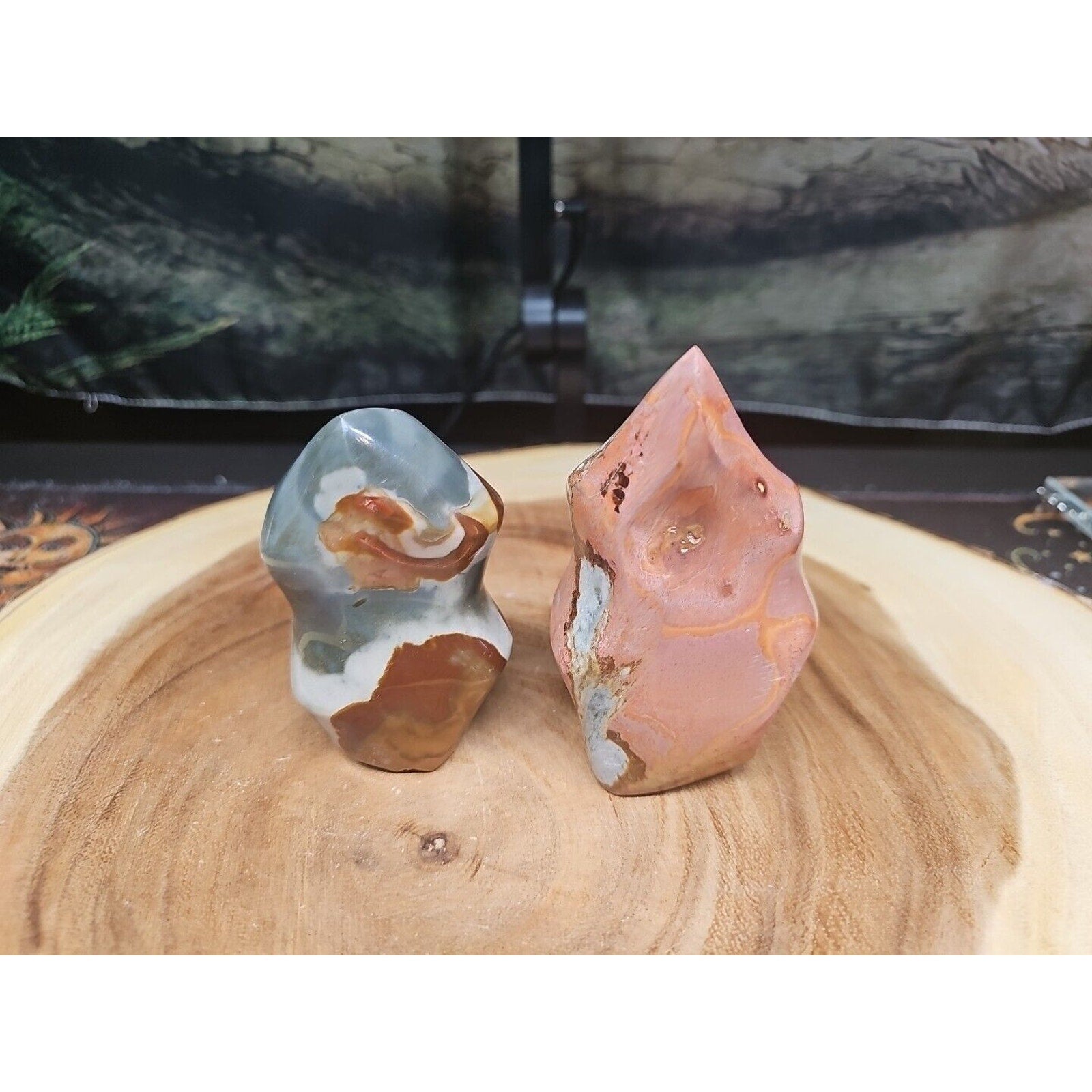 1.40LB 2Pcs Natural Polychrome Ocean Jasper Crystal Flame Point Carved Healing