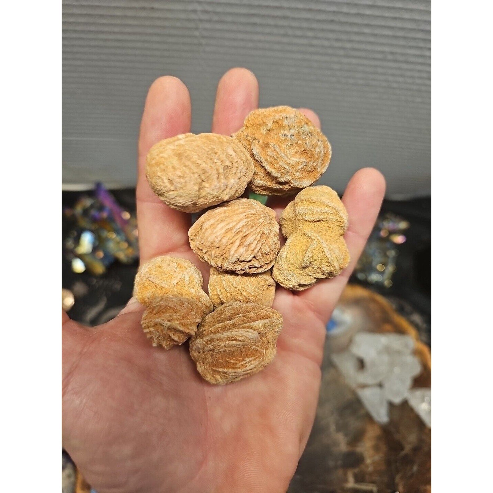 Desert Rose Stones