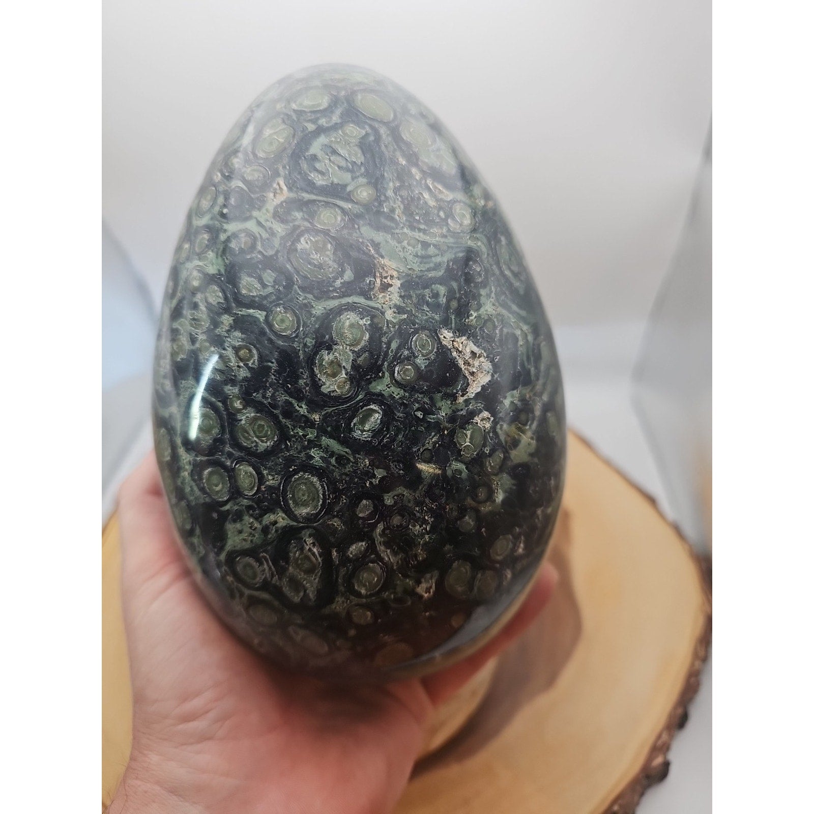 9.1LB Natural Kambaba Jasper Quartz Crystal egg Mineral specimen Healing