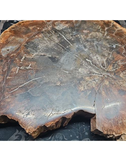 Load image into Gallery viewer, 27.3LB TOP Natural fossil wood Quartz carved Crystal mineral Specimen healing
