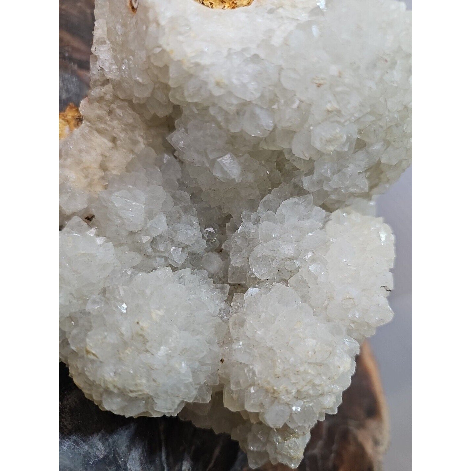 3.7LB 5.5" Natural White Clear Quartz Crystal Cluster Points Original Healing