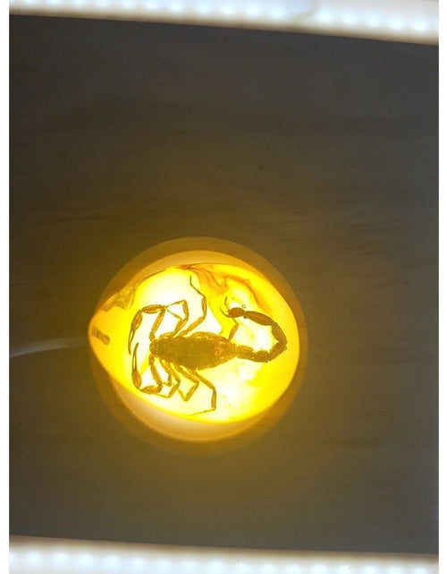 Load image into Gallery viewer, 1 Ea Beautiful Amber Scorpions Fossil Manual Polishing Lucky Ornament
