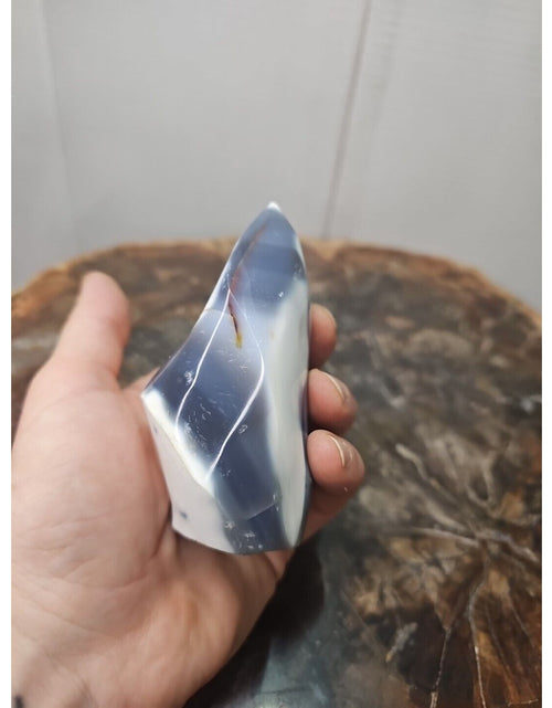 Load image into Gallery viewer, Jasper Ocean Whale Stone 332g
