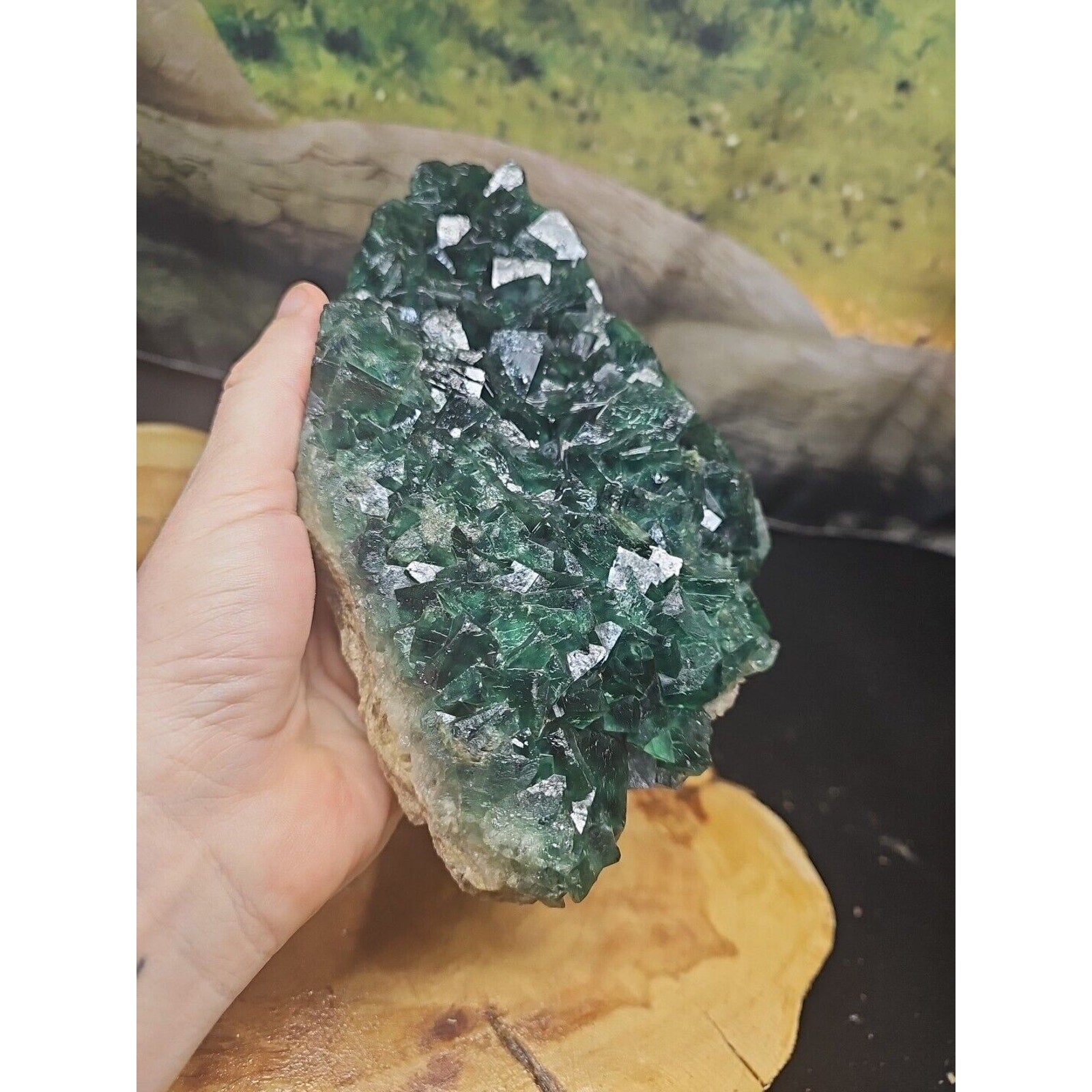 3.2lb NATURAL Green FLUORITE Quartz Crystal Cluster Mineral Specimen