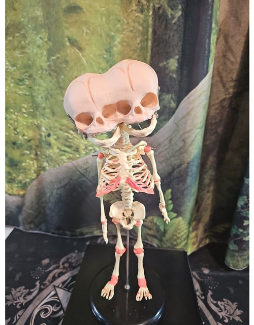 Load image into Gallery viewer, Pinyl vinyl chloride skeleton of abnormal infant
