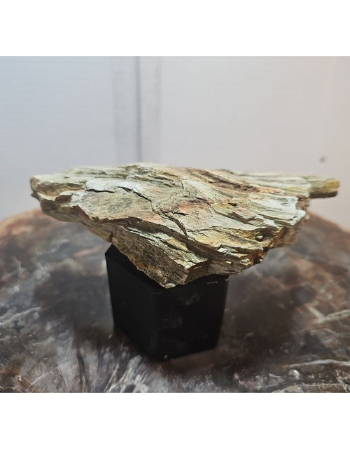 Load image into Gallery viewer, 1.06lbs Texas Petrified Wood Rough
