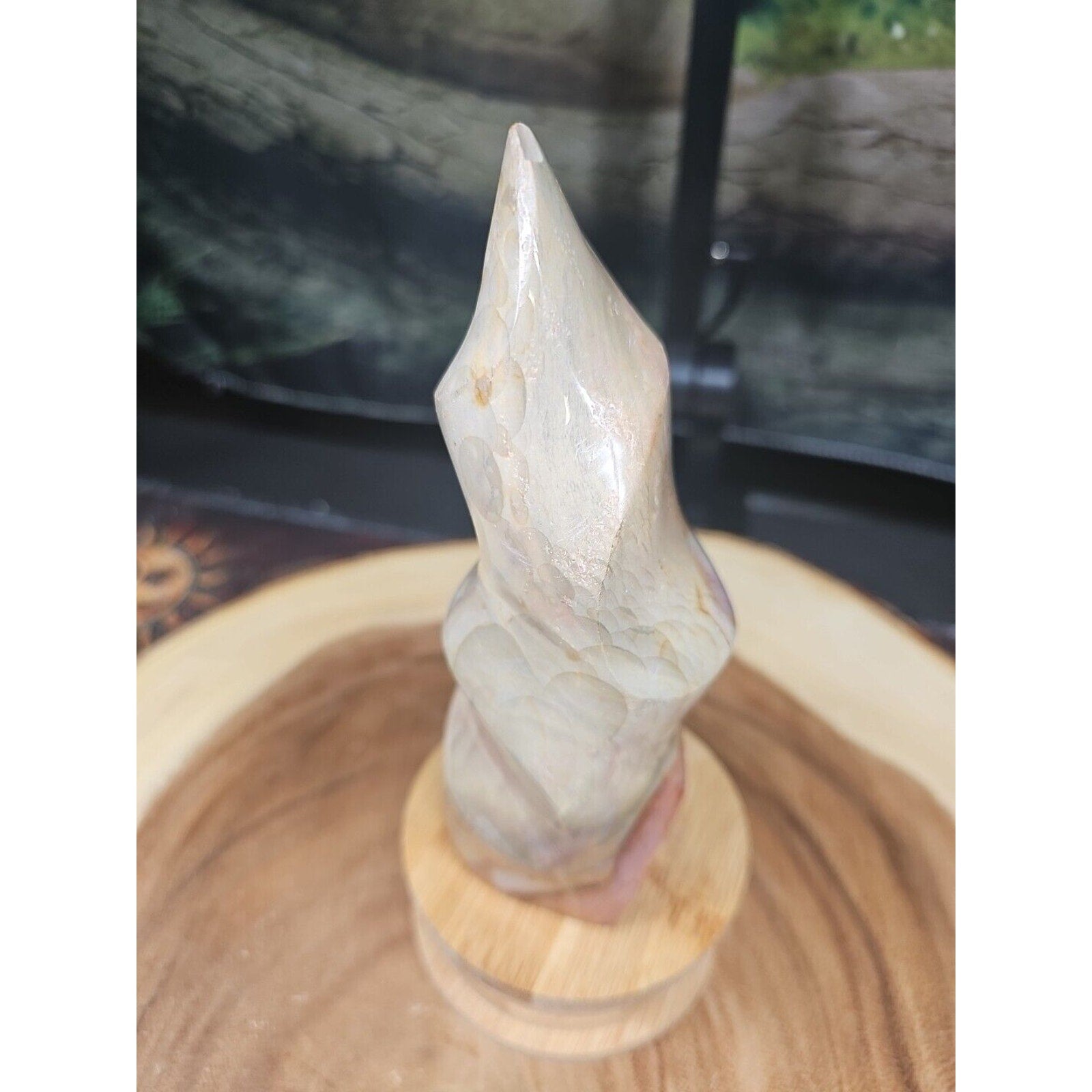 1.20LB 1Pcs Natural Polychrome Ocean Jasper Crystal Flame Point Carved Healing