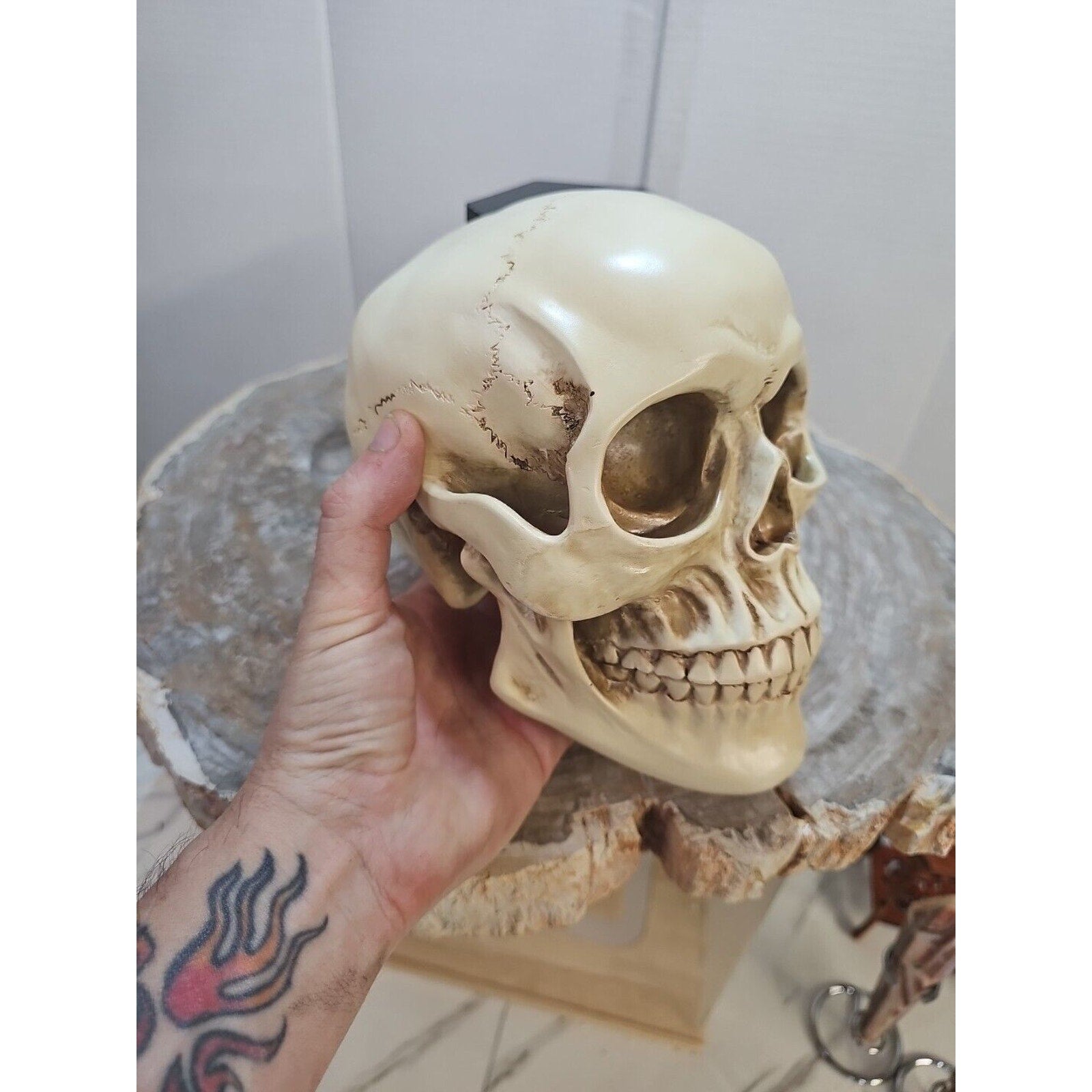 Realistic Human Skull Replica Decor Decoration Resin