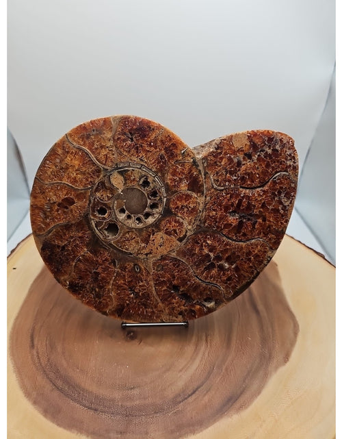 Load image into Gallery viewer, 2.36LB Rare! Natural Ammonite Fossil Specimen Shell Madagascar
