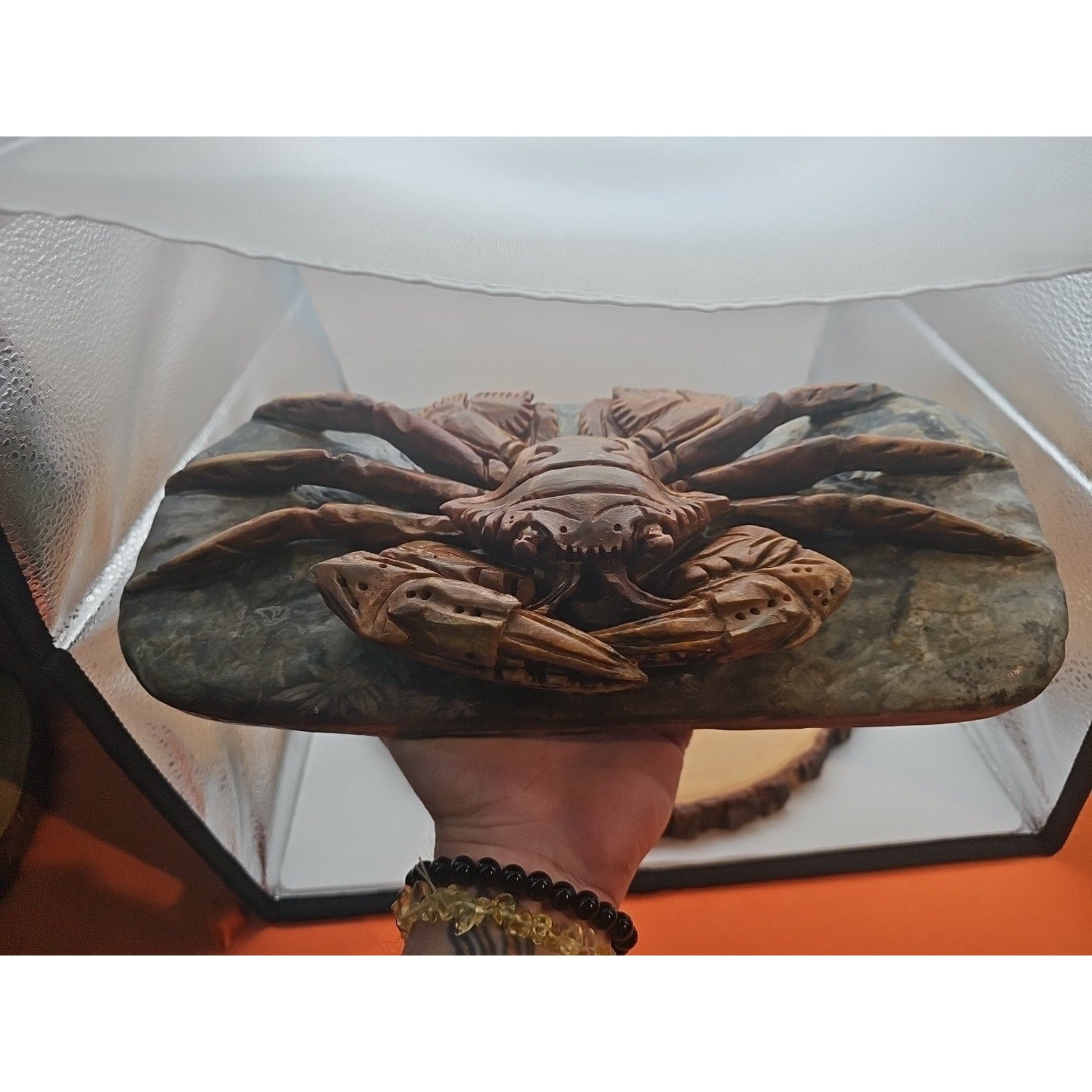 7.4LB Natural Mao Gong shi crab skull hand carved crystal specimen healing