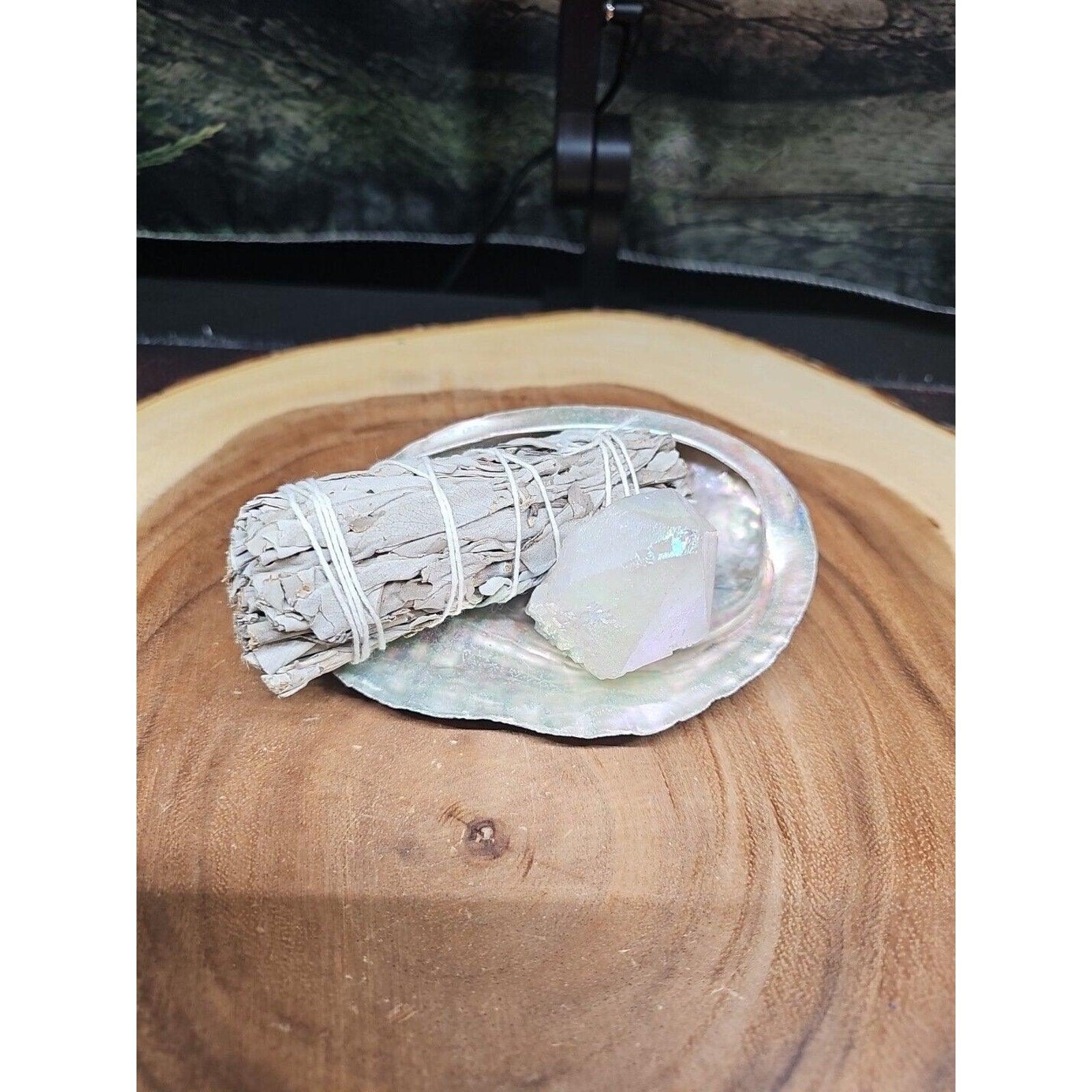 Large Abalone Shell 5-6": Smudging Sage Sticks Display Sea Shell W/Quartz Point