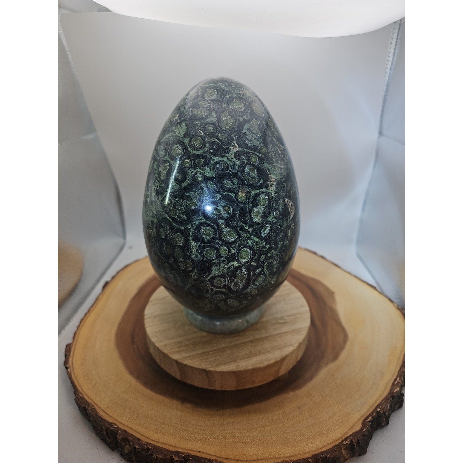 9.1LB Natural Kambaba Jasper Quartz Crystal egg Mineral specimen Healing