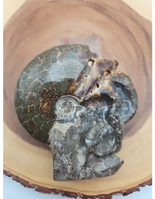 Load image into Gallery viewer, 1.32LB Rare! Natural Tentacle Ammonite Fossil Specimen Shell Madagascar
