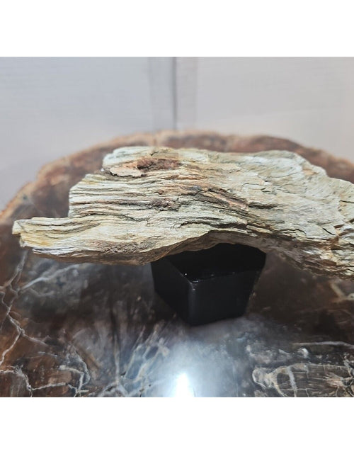 Load image into Gallery viewer, 1.06lbs Texas Petrified Wood Rough
