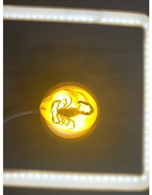 Load image into Gallery viewer, 1 Ea Beautiful Amber Scorpions Fossil Manual Polishing Lucky Ornament
