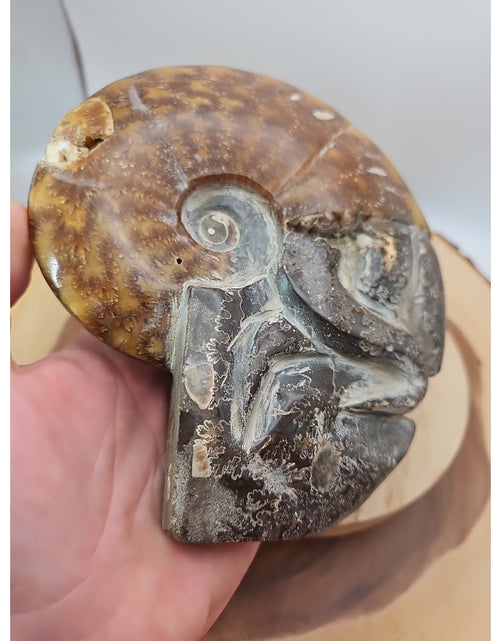 Load image into Gallery viewer, 1.82LB Rare! Natural Tentacle Ammonite FossilSpecimen Shell Healing Madagascar
