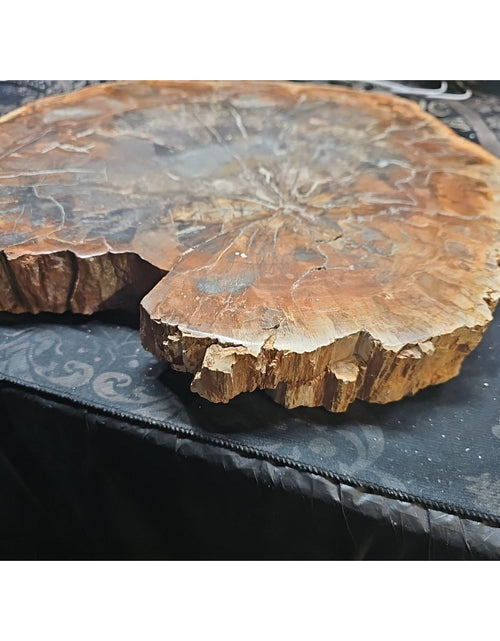 Load image into Gallery viewer, 27.3LB TOP Natural fossil wood Quartz carved Crystal mineral Specimen healing
