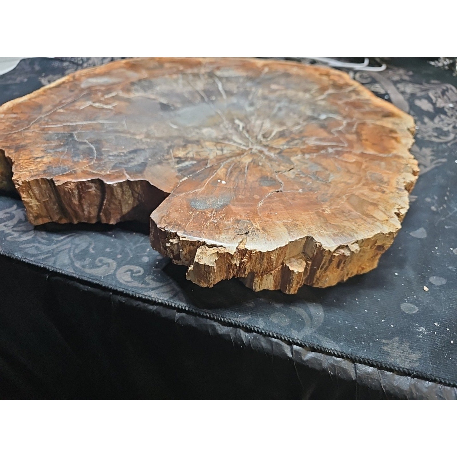 27.3LB TOP Natural fossil wood Quartz carved Crystal mineral Specimen healing