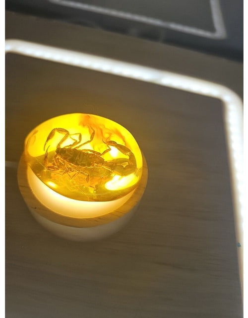 Load image into Gallery viewer, 1 Ea Beautiful Amber Scorpions Fossil Manual Polishing Lucky Ornament
