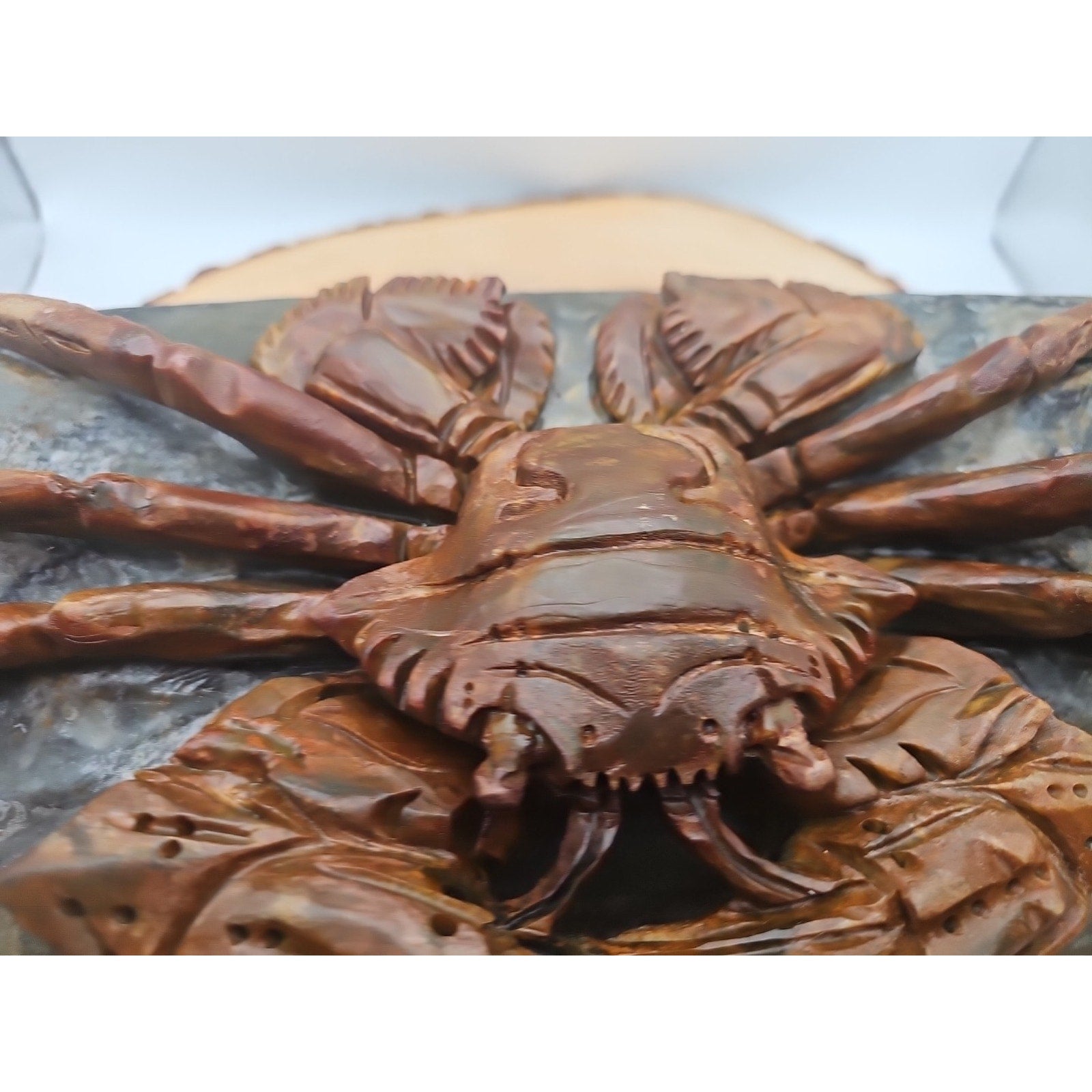 7.4LB Natural Mao Gong shi crab skull hand carved crystal specimen healing