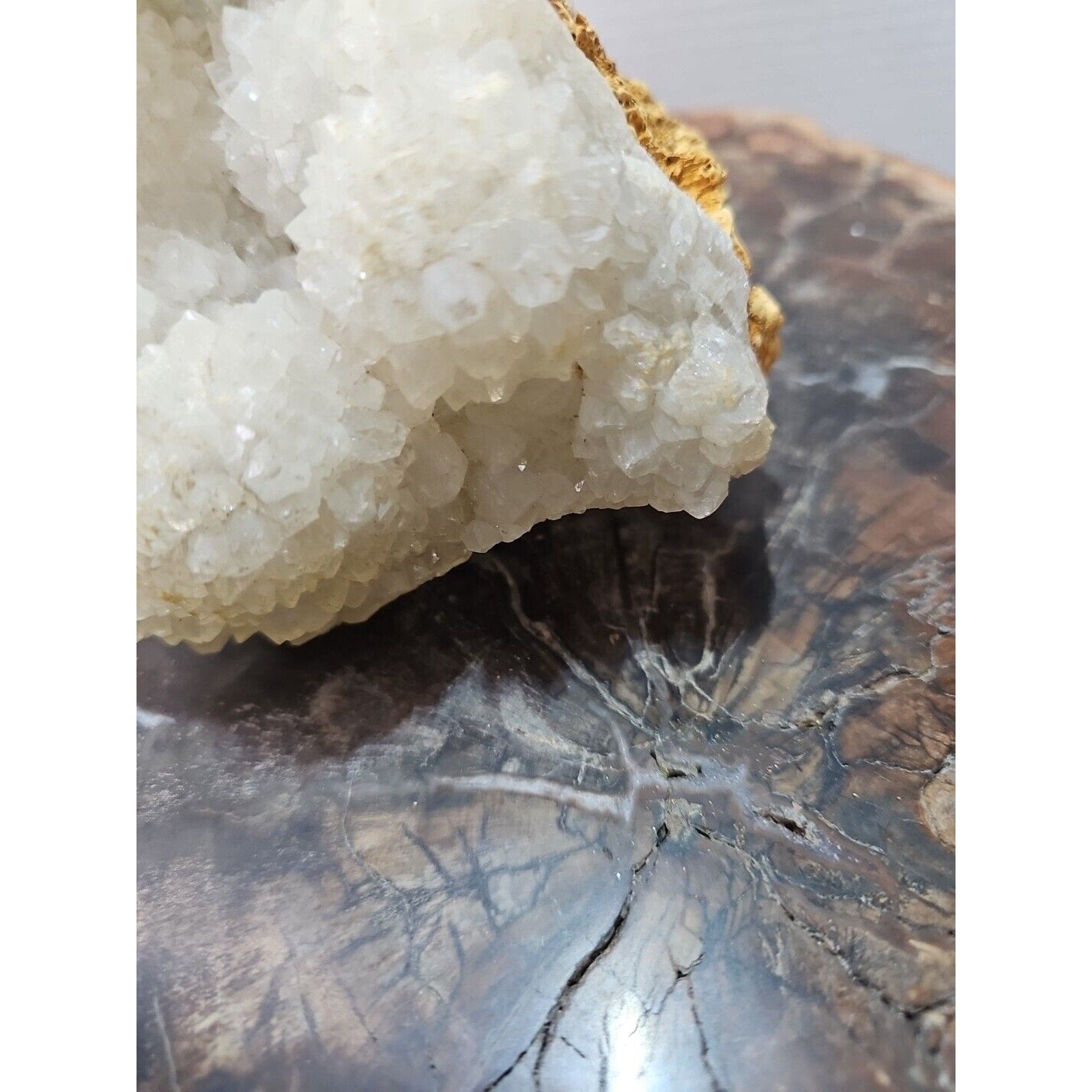 3.7LB 5.5" Natural White Clear Quartz Crystal Cluster Points Original Healing