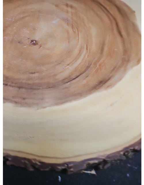 Load image into Gallery viewer, Zebra Stone Tower 341g 6in Tall
