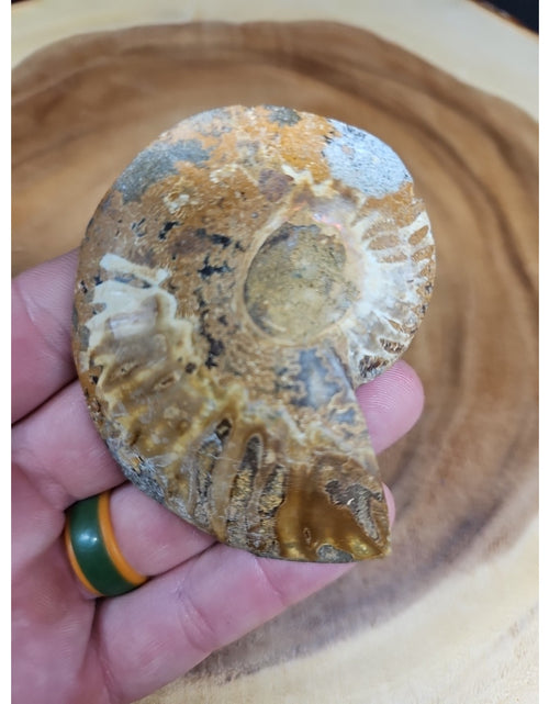 Load image into Gallery viewer, Ammonite Fossil Small 52g

