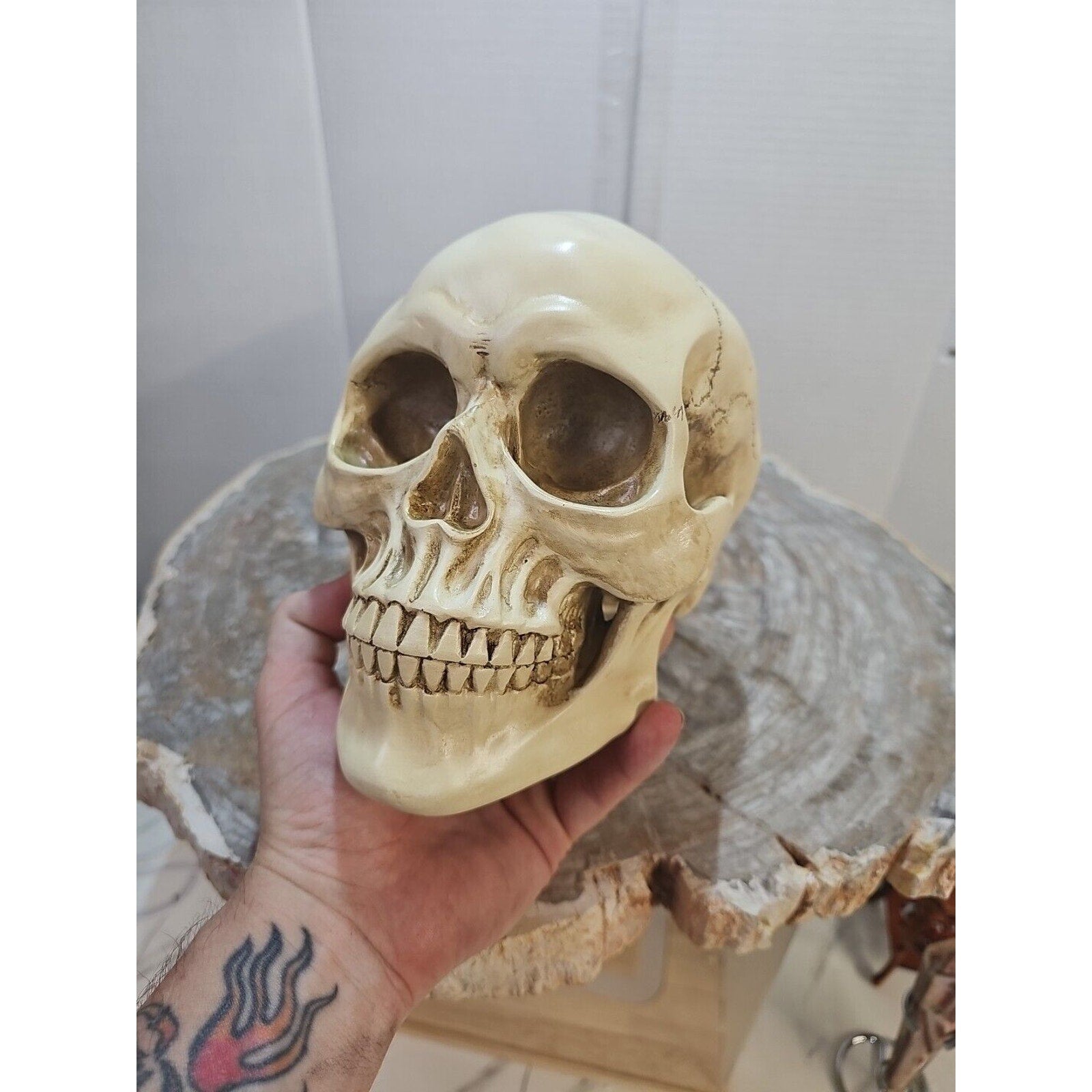 Realistic Human Skull Replica Decor Decoration Resin