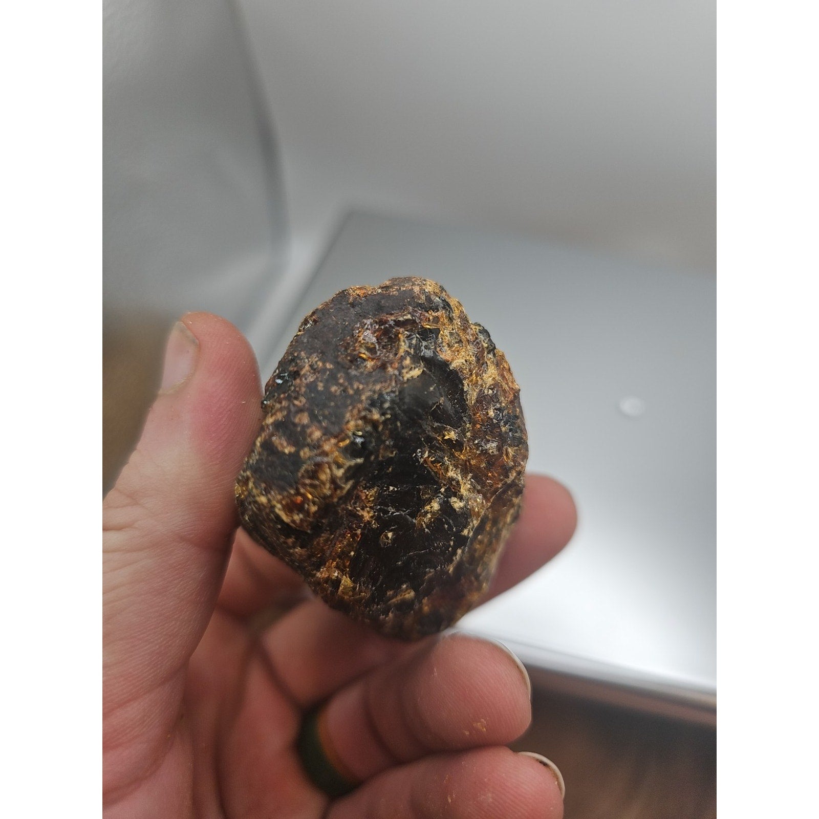 Amber Stone 2pcs