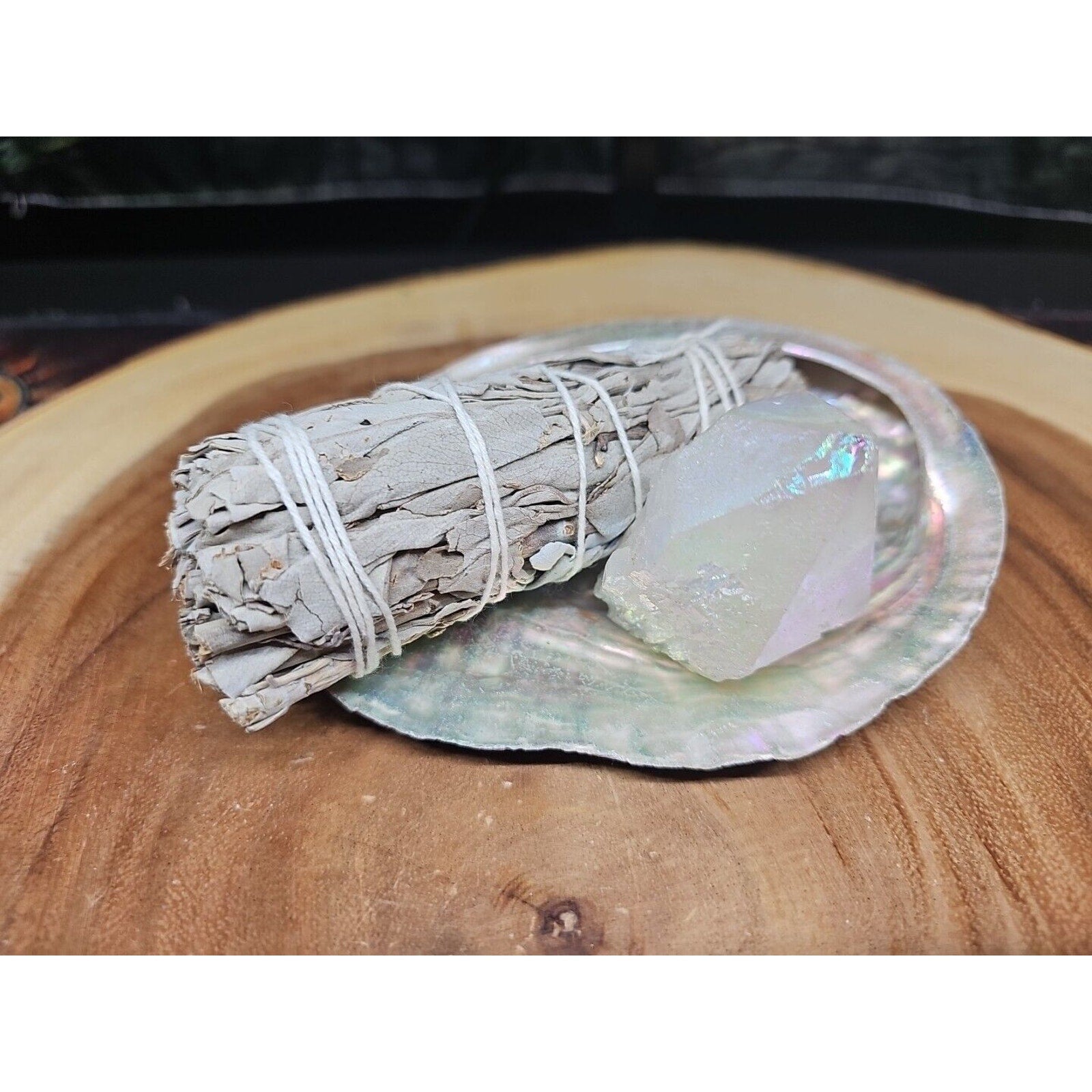 Large Abalone Shell 5-6": Smudging Sage Sticks Display Sea Shell W/Quartz Point