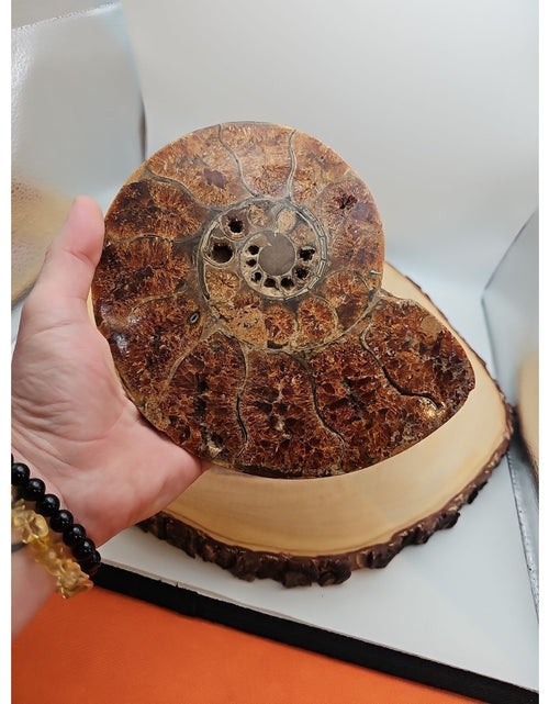 Load image into Gallery viewer, 2.36LB Rare! Natural Ammonite Fossil Specimen Shell Madagascar
